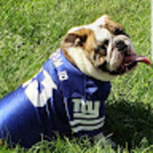 Meet your Posher, Sagittarius